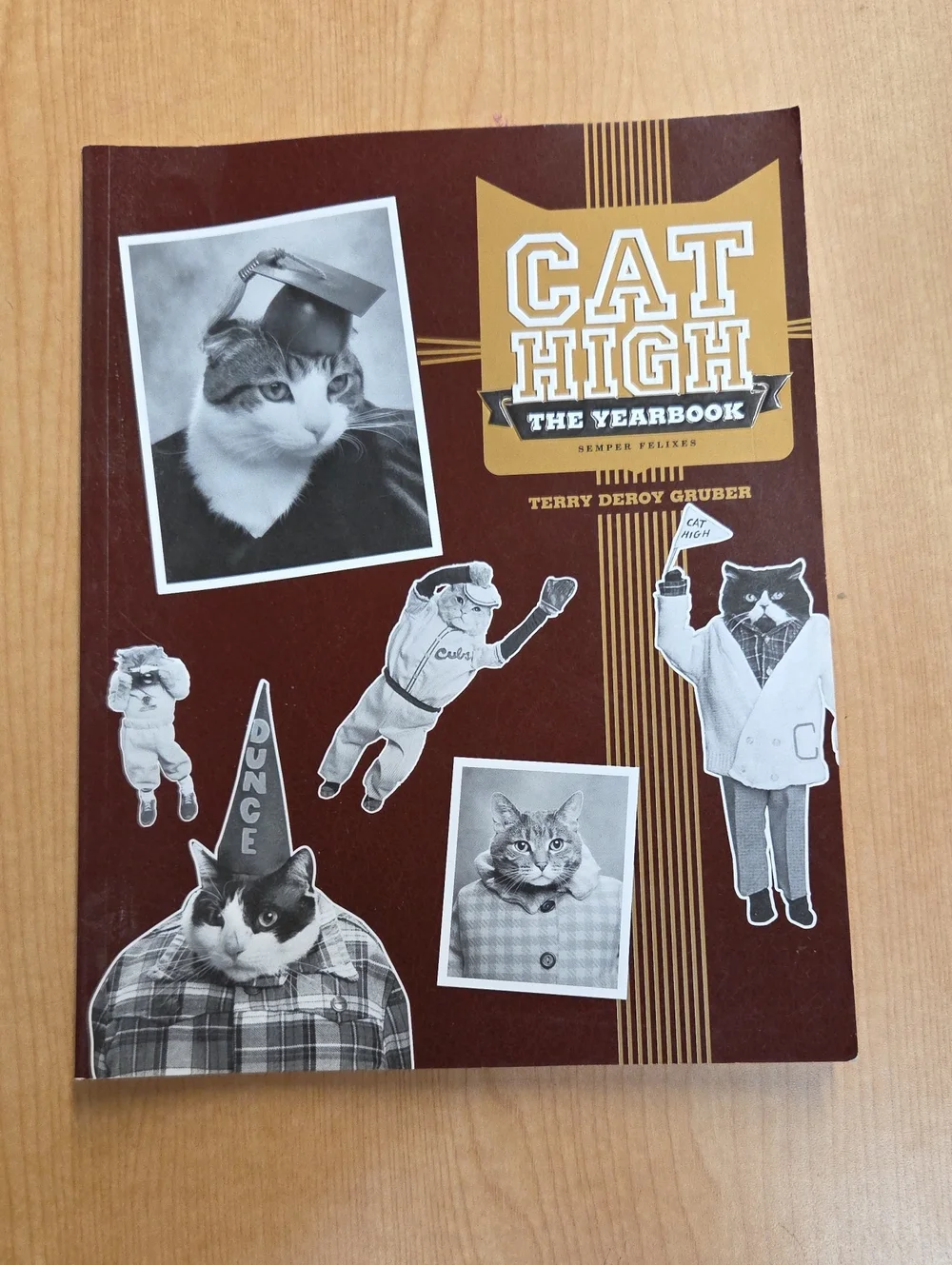 Cat High The Yearbook, I Could Pee On This poems, A Cats Little Instruction Book